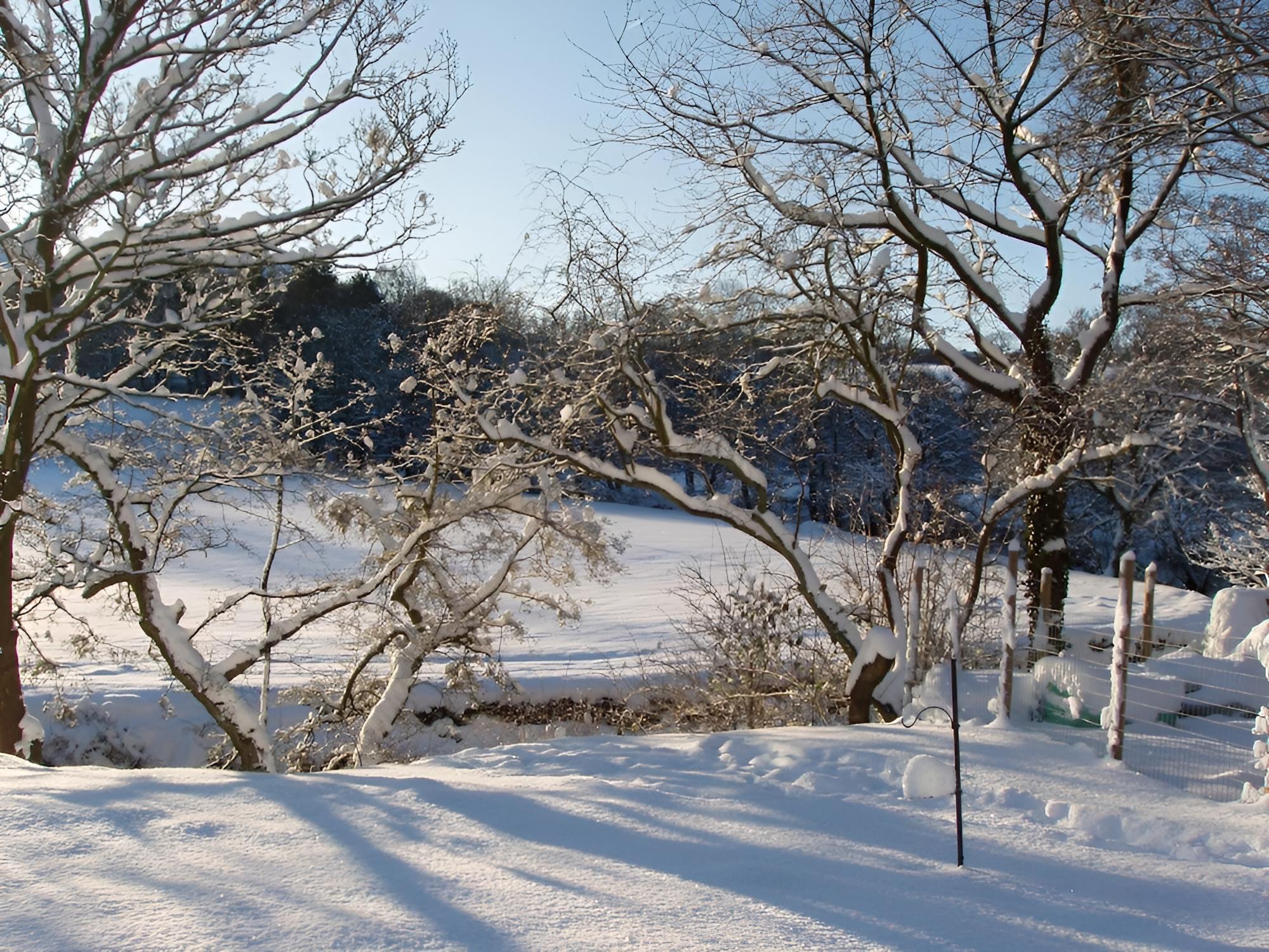 Millbrook B&B