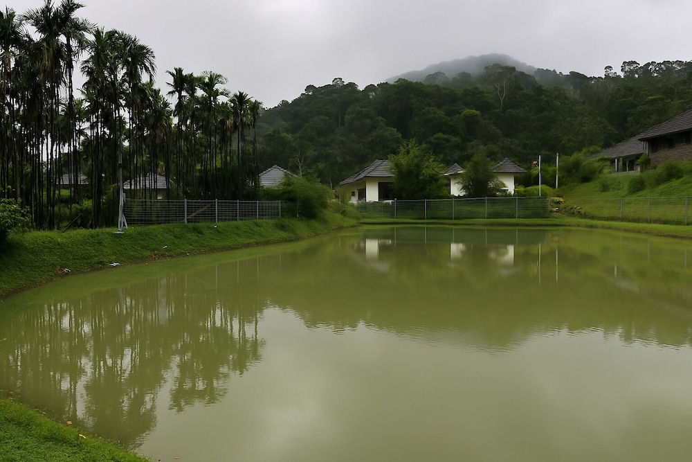 Amritara Sonemale Resort Chikmagalur