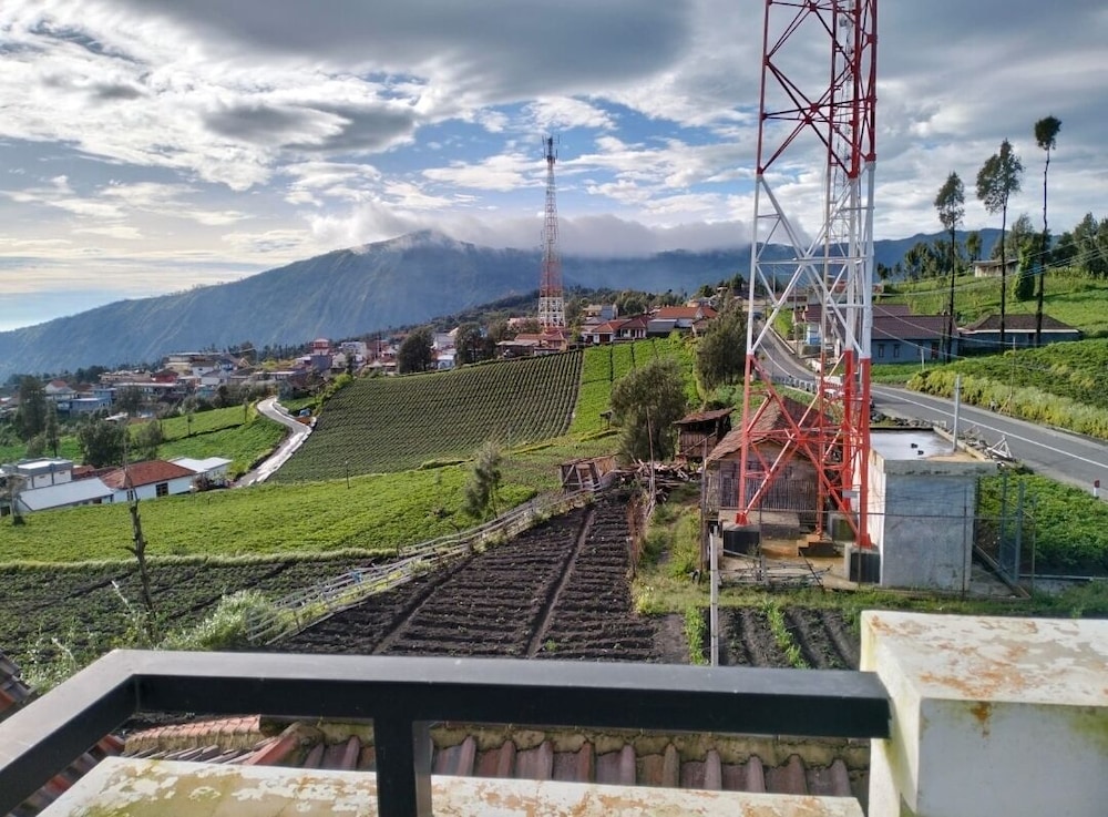 Bromo Seruni Guesthouse view 2