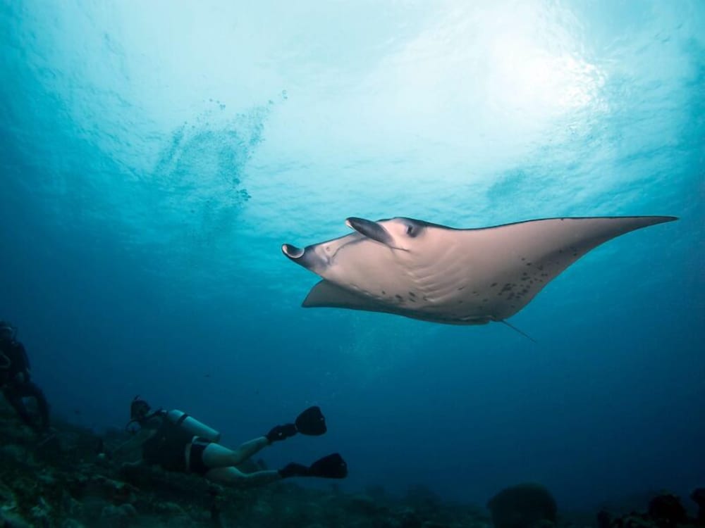 Lagoon Lodge photo 3