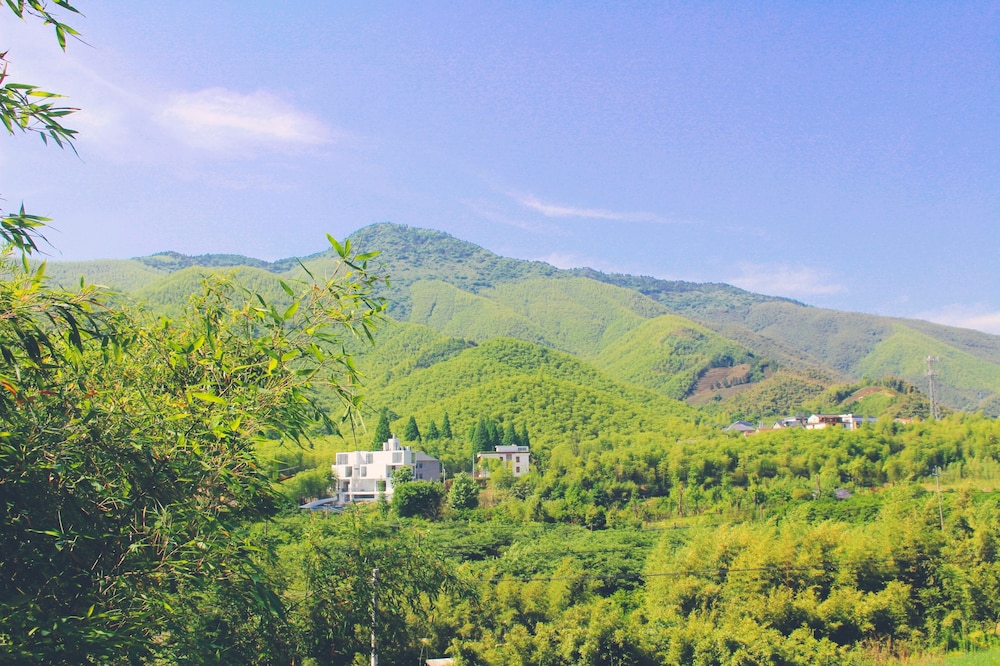 Moganshan Wild House