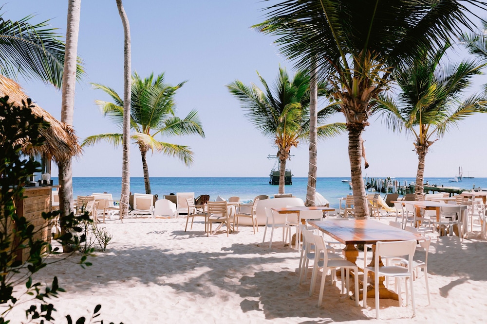 Luxury 3 Bedroom Apartment at the Beach