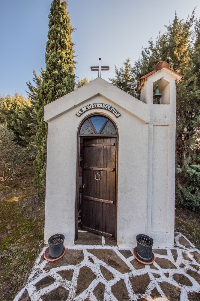 Photo 21