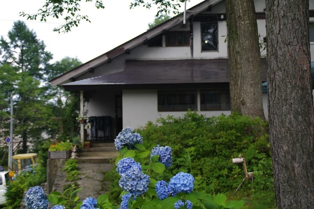 Photo 19