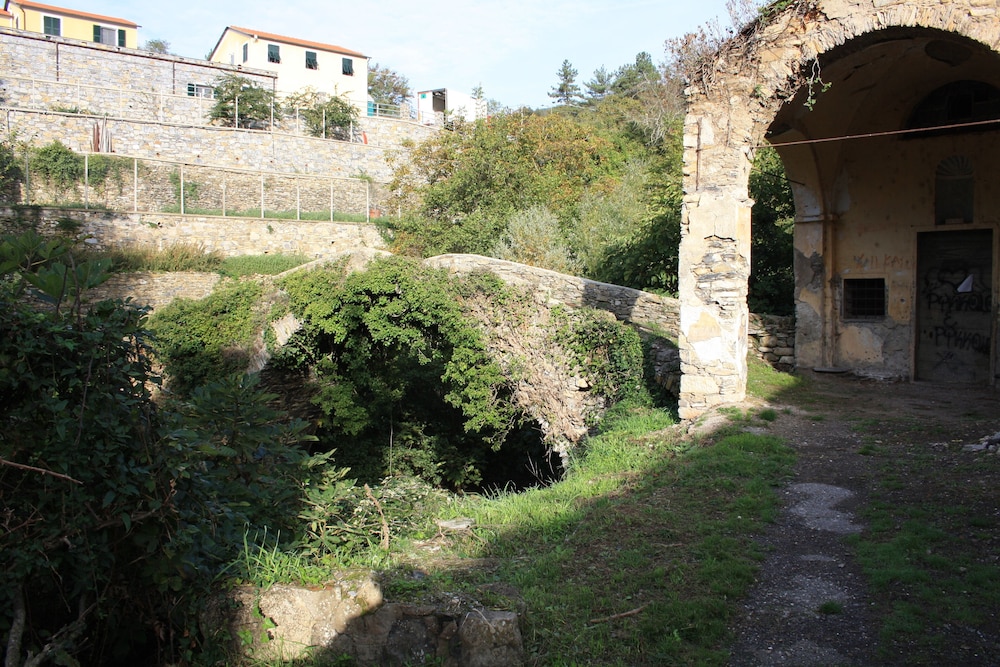 Photo 33