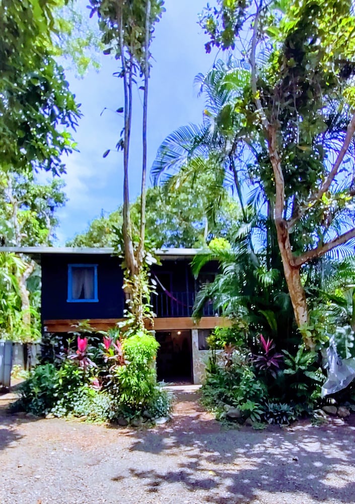 Hotel Casa Jungla Hostel - Image 1