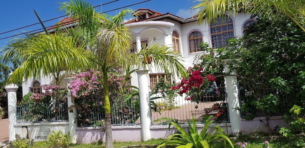 Jamaica Villa Sweetsap
