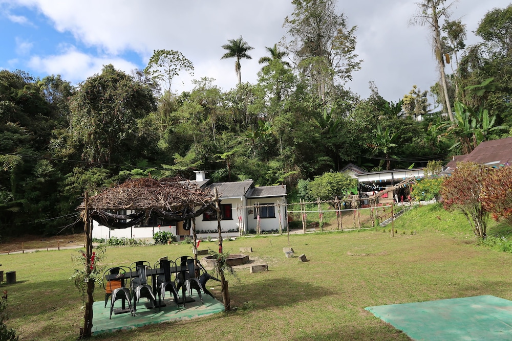 Farm Guest House - Hostel photo 8