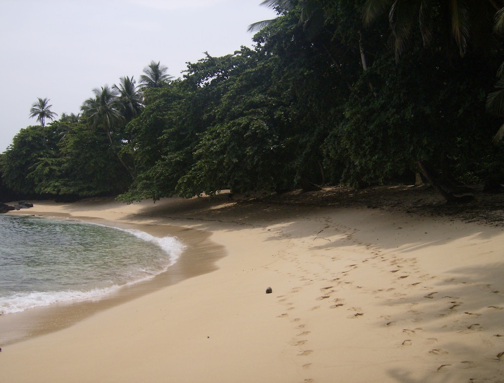 Photo 40