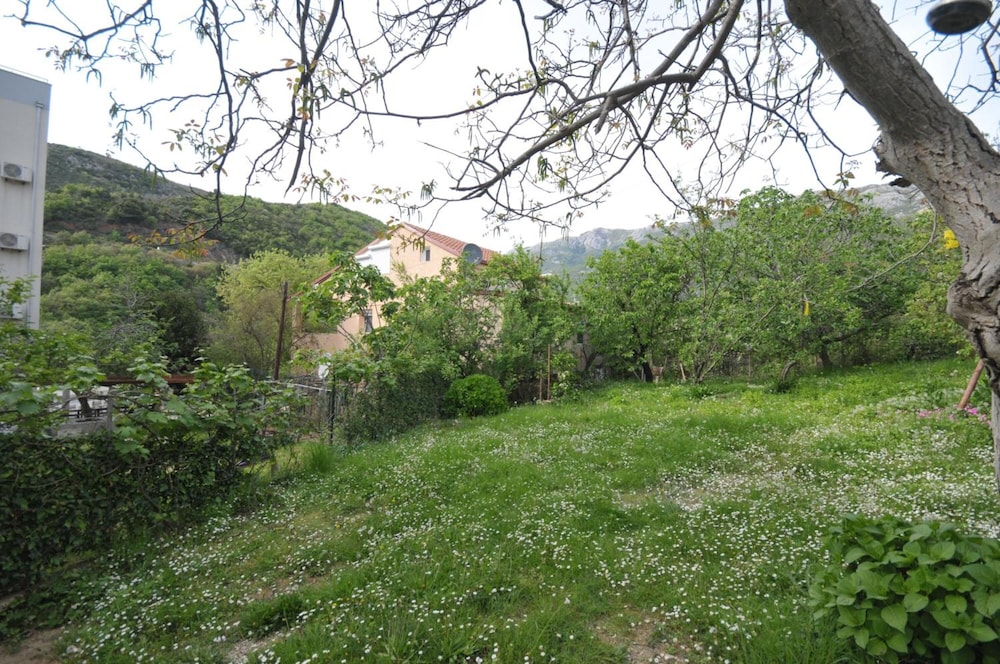 Photo 45