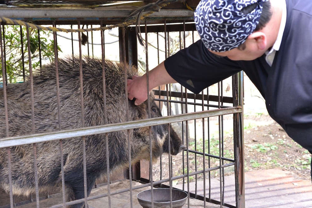 Mizuwake Minshuku Mura