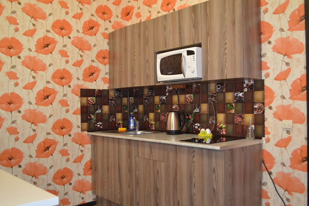 Zhukovsky apartment