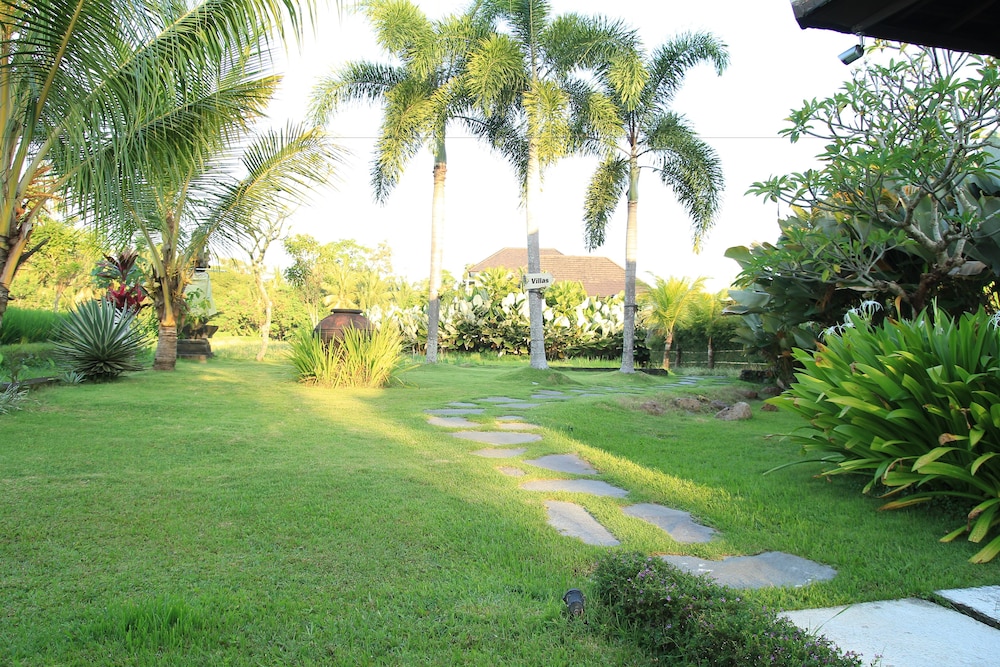 Photo 53