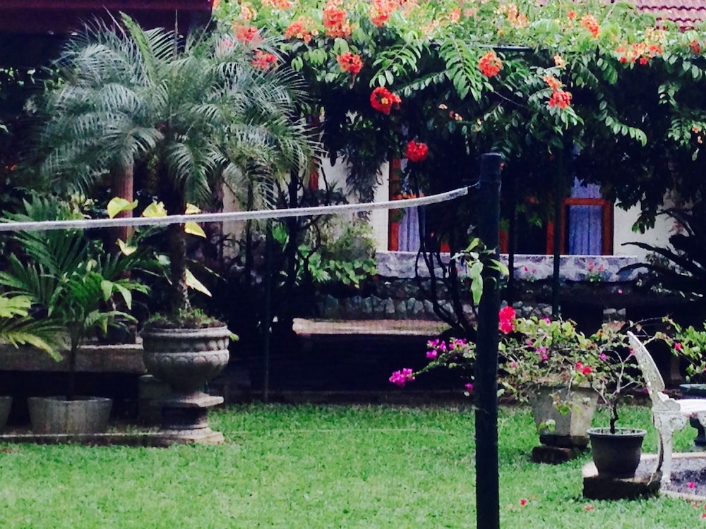 Yalegoda Walauwa Homestay