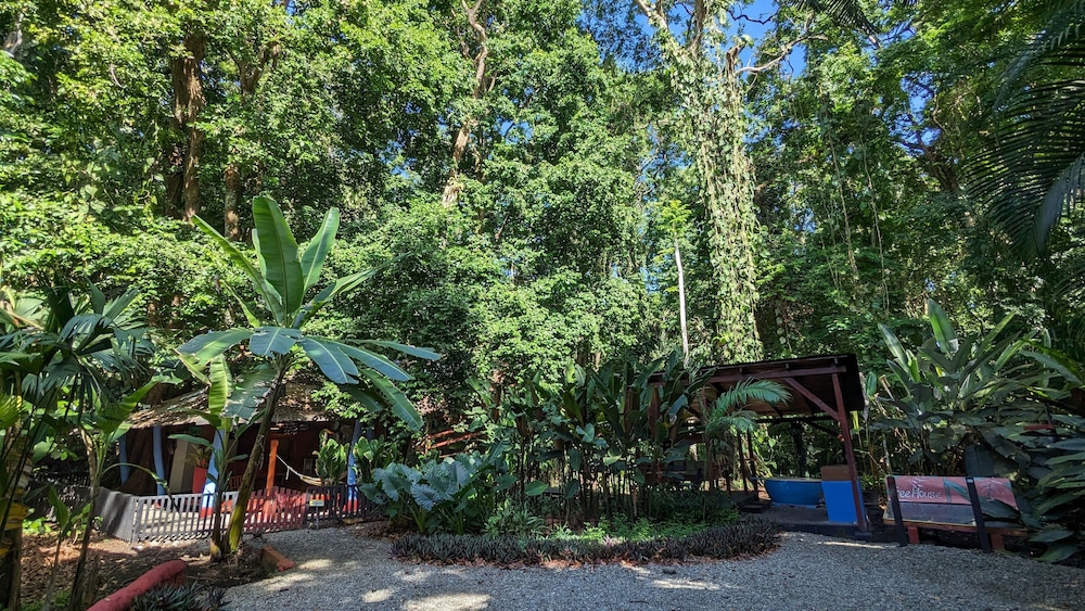 Tree House Beachfront Lodge