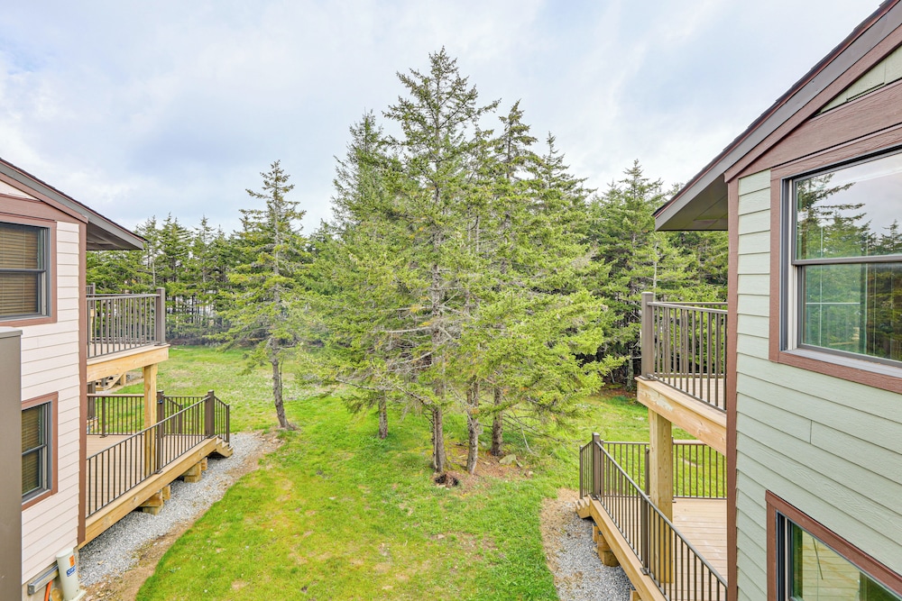 Ski, Hike, Bike! Family Haven at Snowshoe Mountain