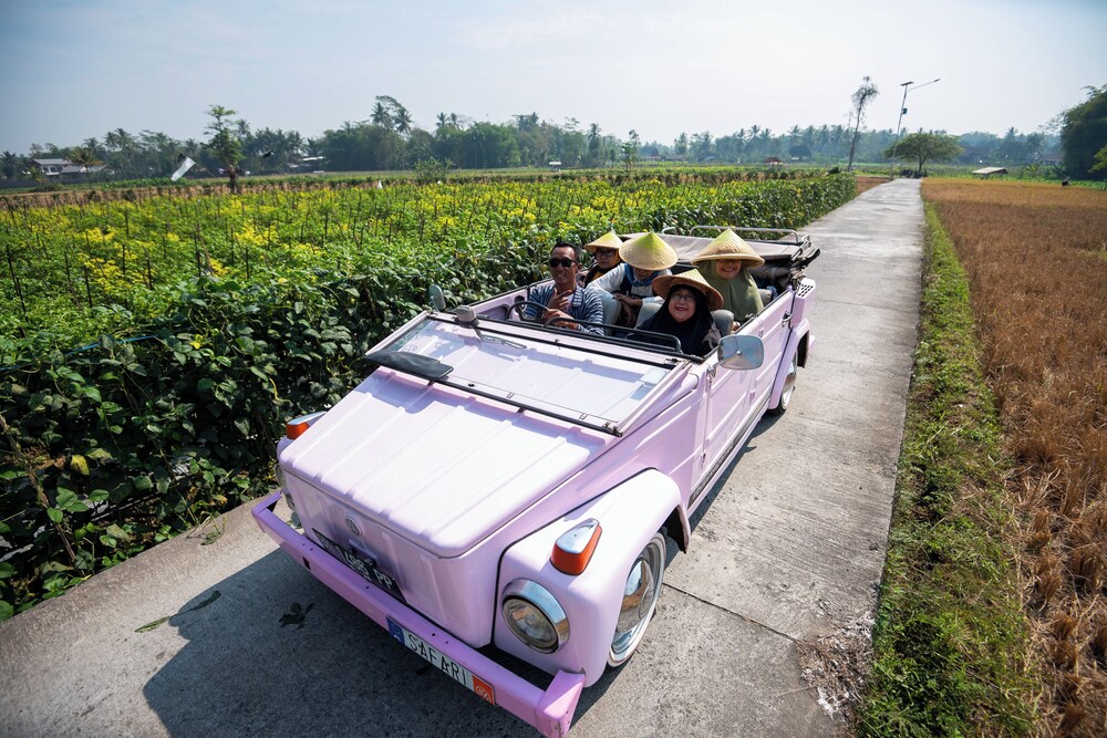 Photo 54