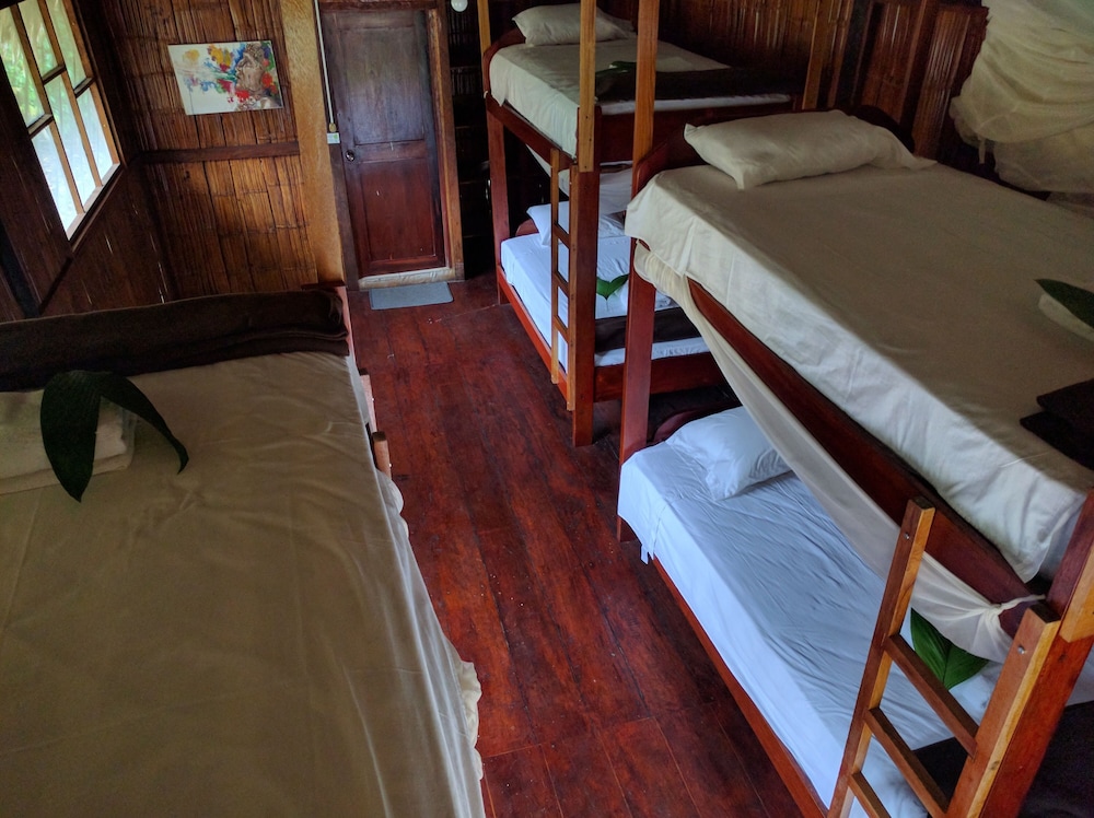 Green forest Ecolodge