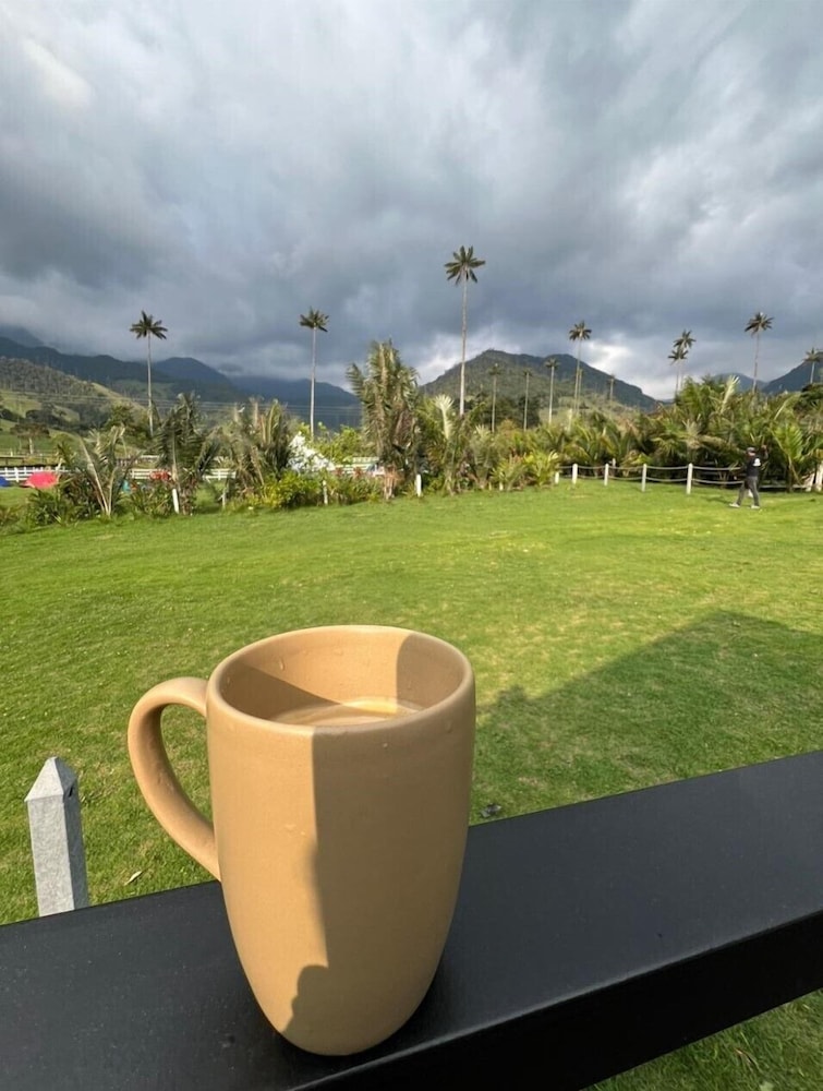 Bosques de Cocora Donde Juan B