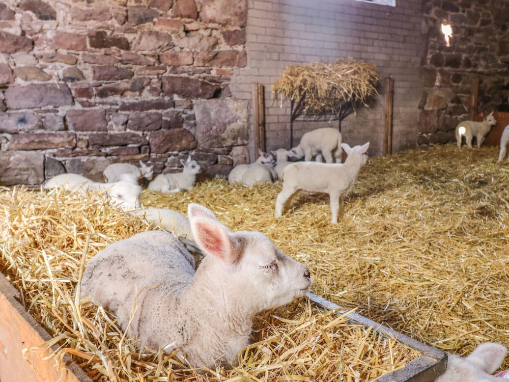 How Hill Farm Cottage