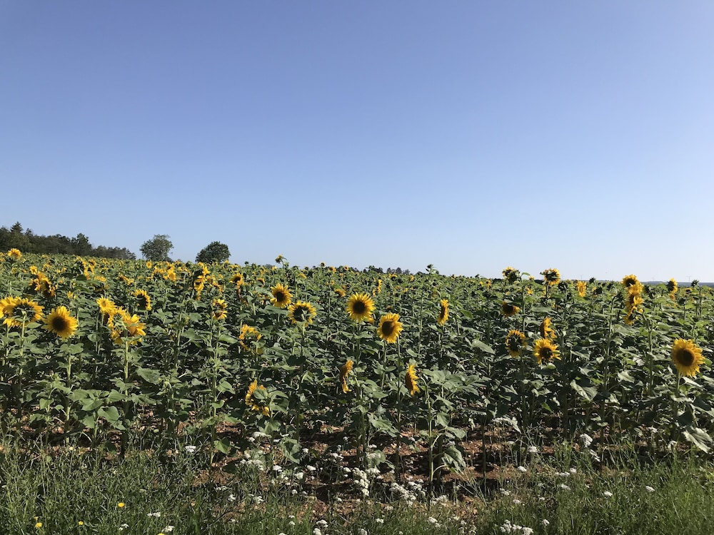 Chenevieres d'en Haut