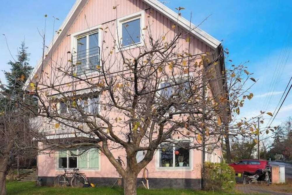 The Pink House