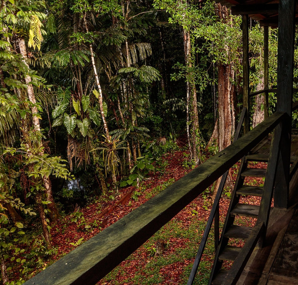 Canangueno Lodge Cuyabeno view 5