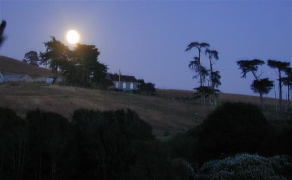 Point Reyes Vineyard Inn
