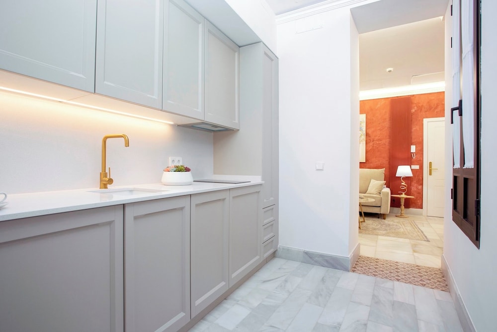 Exclusive Apartment in Seville.plaza del Museo 001