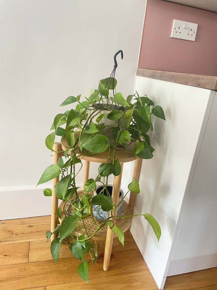 Bright & Beautifully Decorated 1BD Flat - Brixton