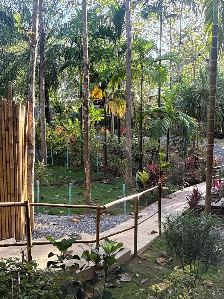 Echo Samadhi