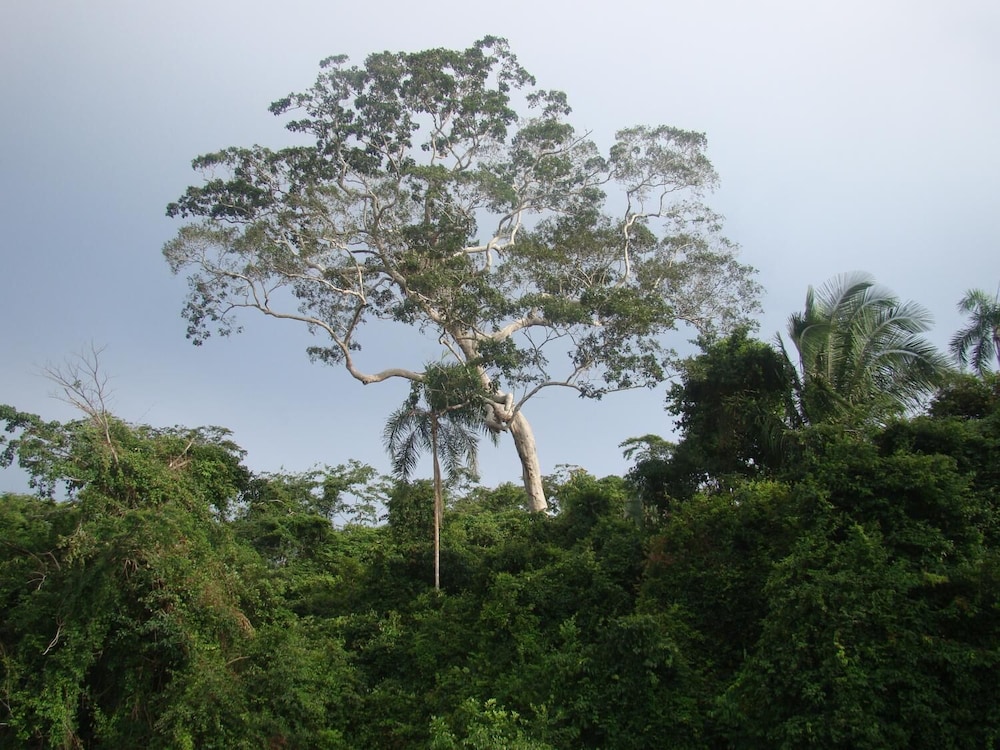 Maloka Sandoval Lodge