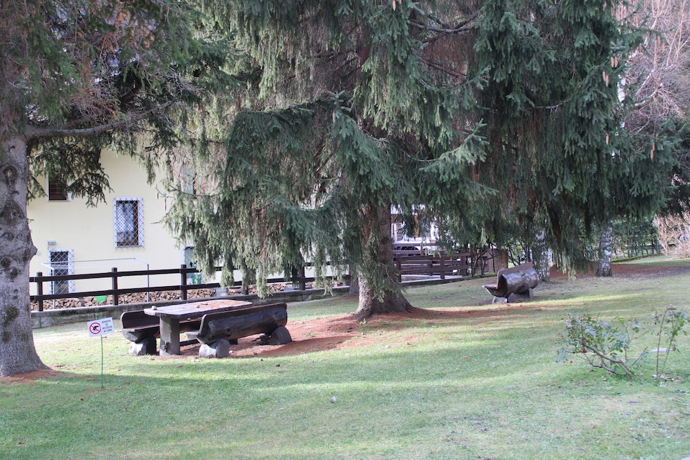 Photo 23