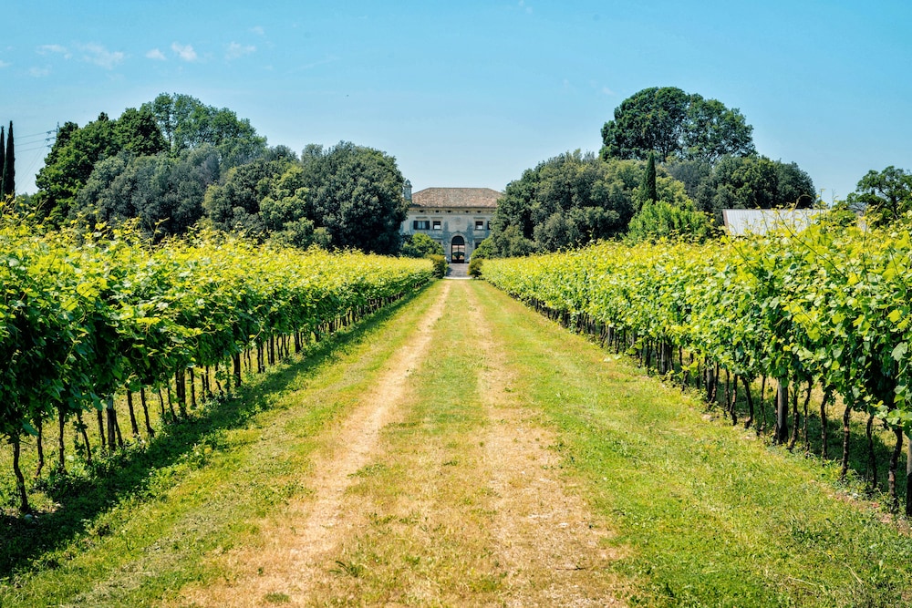 Villa Sagramoso Sacchetti
