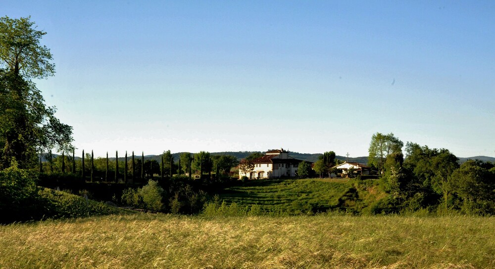 Il Pino Bioagricoltura