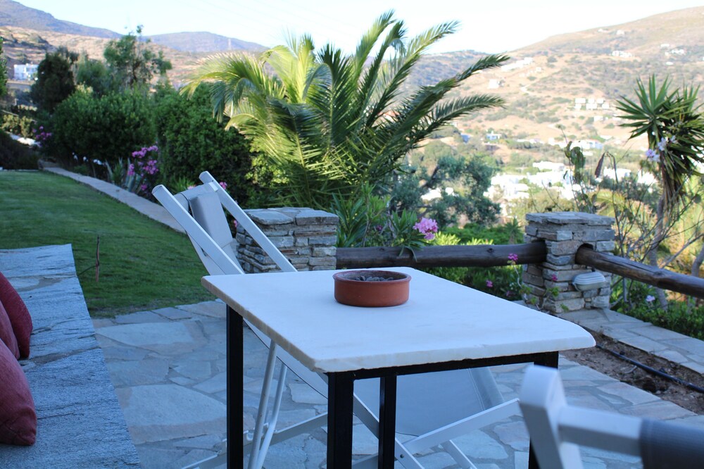 Blue Dolphin