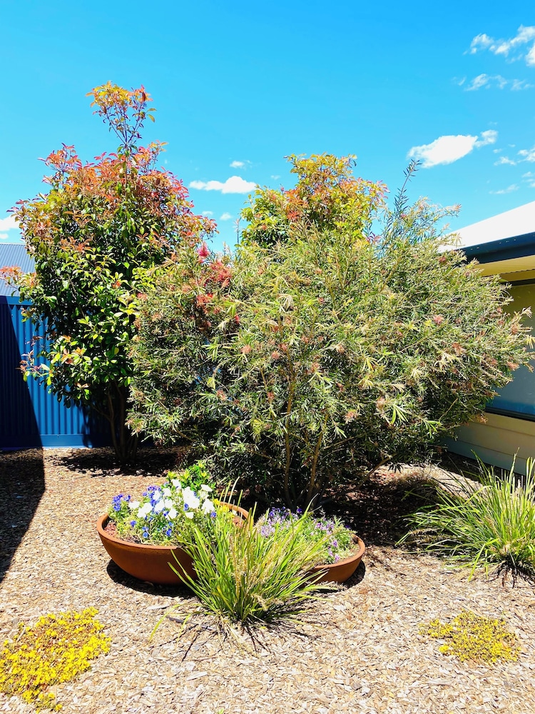 Eastend Studio Apartments