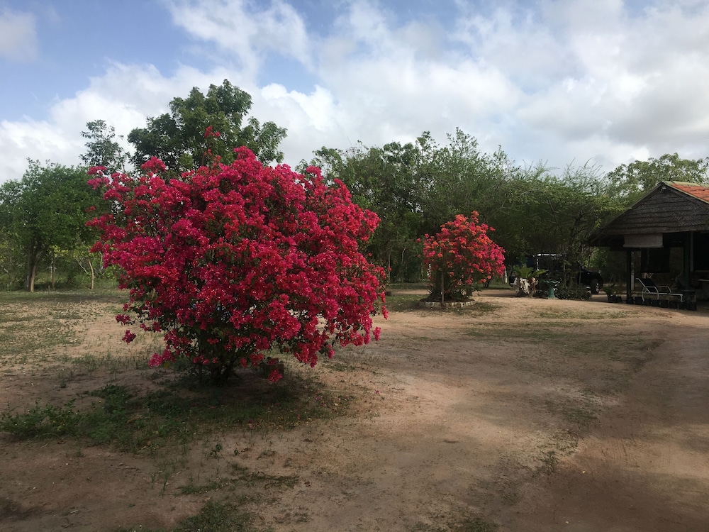 Captains Bird Safari Lodge
