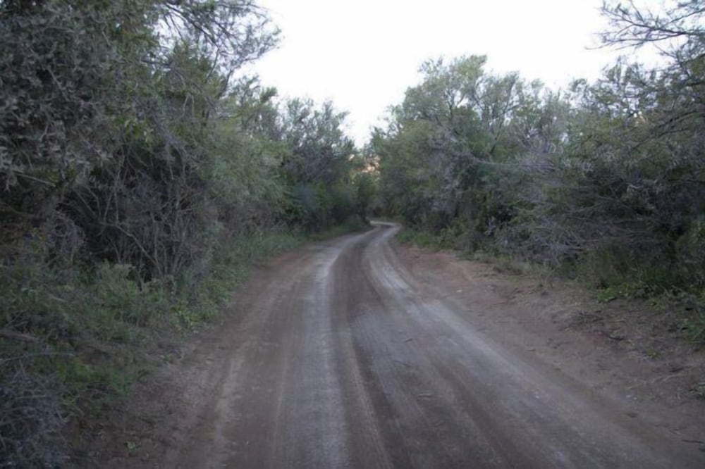 Ko-Ka Tsara Bushcamp