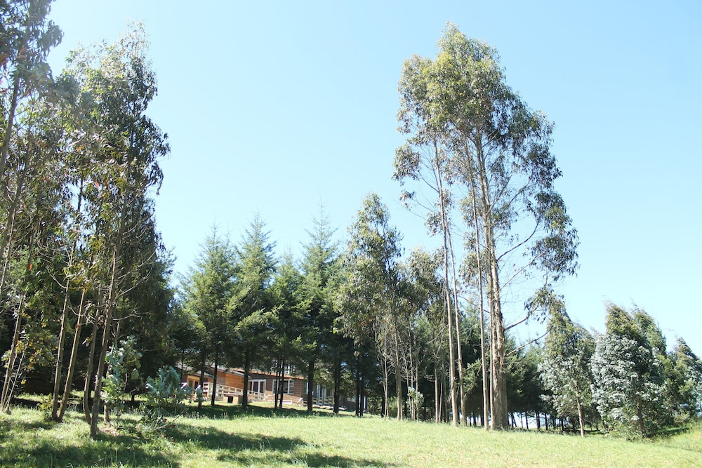 Hotel Alto Puerto Varas