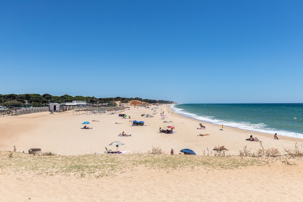 Superb Front Beach Carteia Flat
