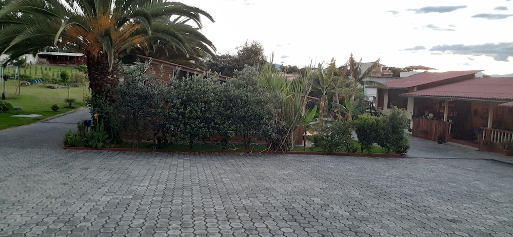 Ficus Lodge