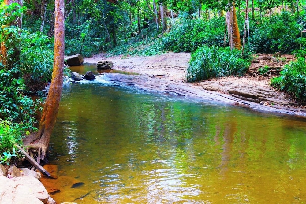 Makeliya Jungle & Waterfall Tour