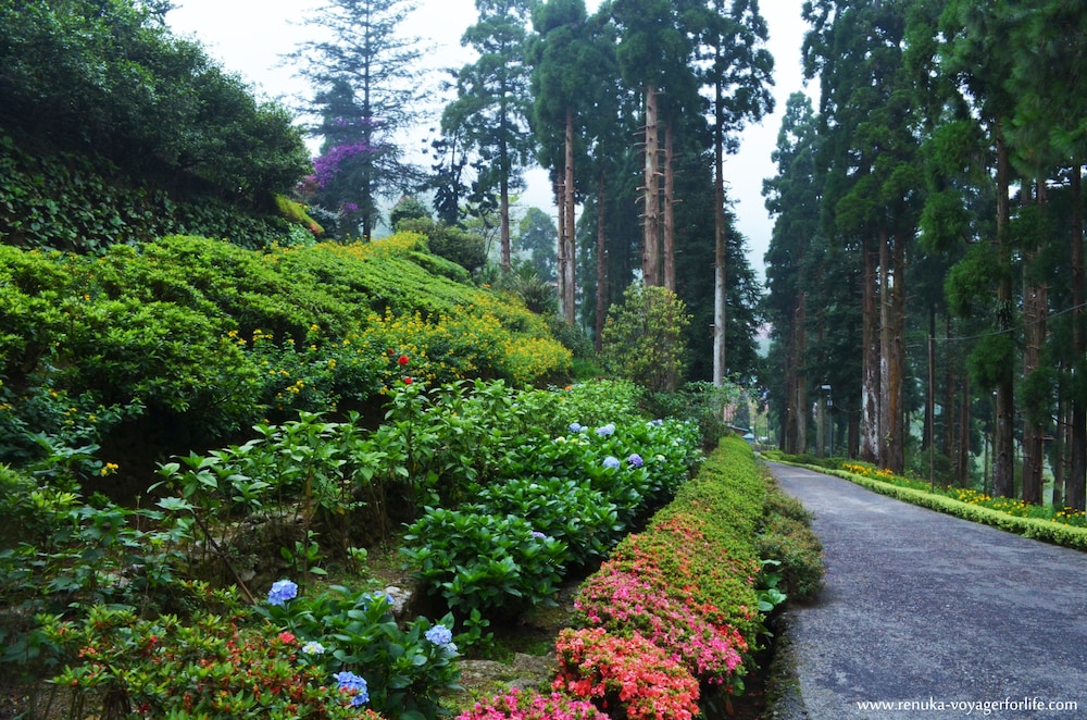 Goomtee Tea Garden Retreat