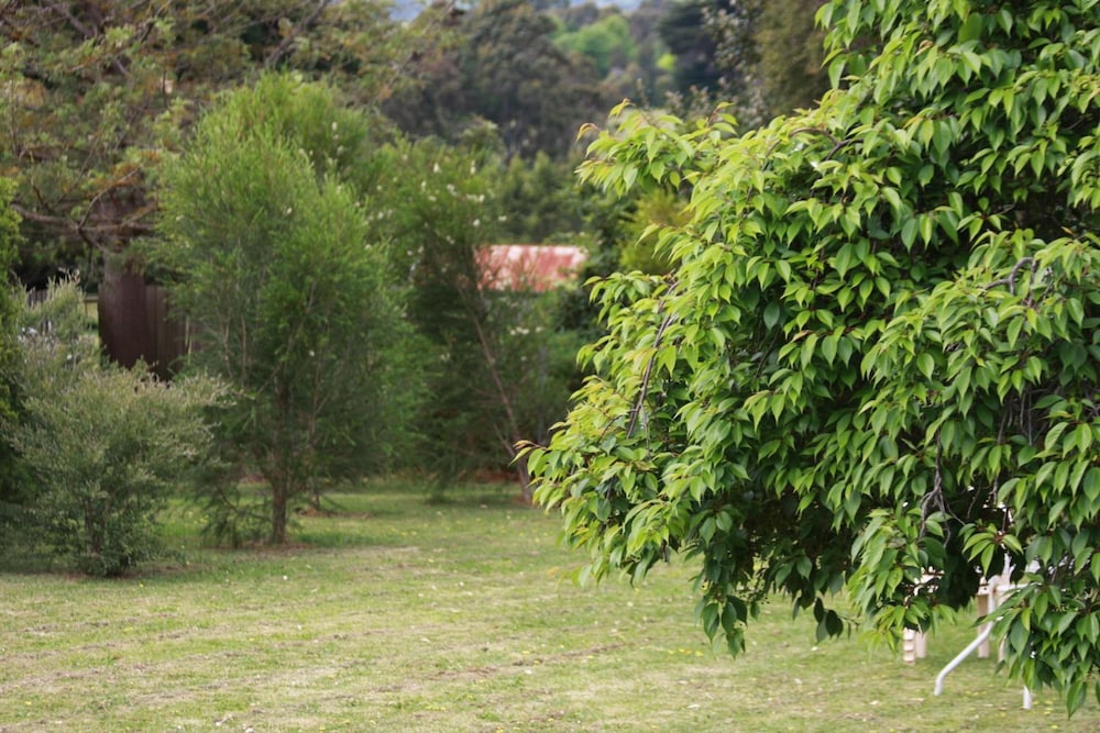 Opal Motel Leongatha