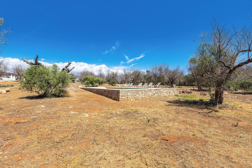 3621 Tenuta Terra del Sole by Perle di Puglia view 3