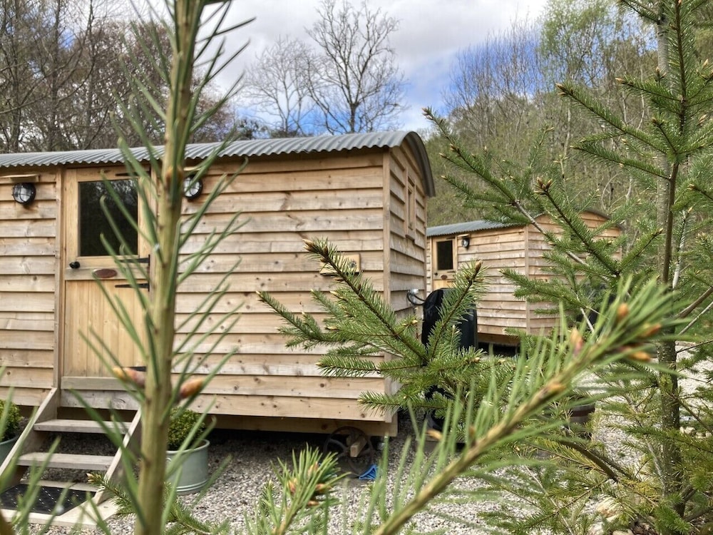 Highland Bear Lodge & Luxury Bear Huts