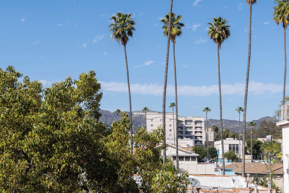 Hollywood Apartment Near Walk of Fame
