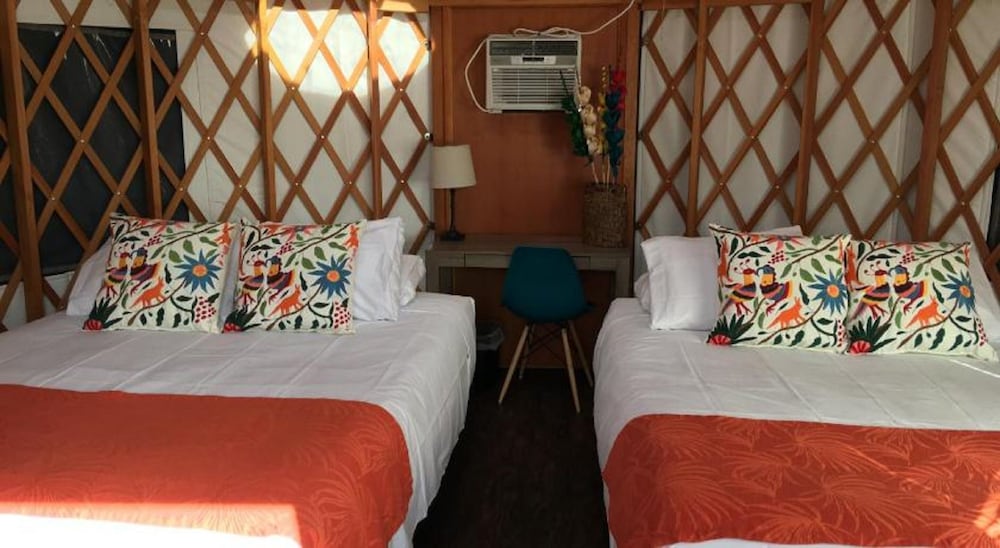 Camp Coyoacan