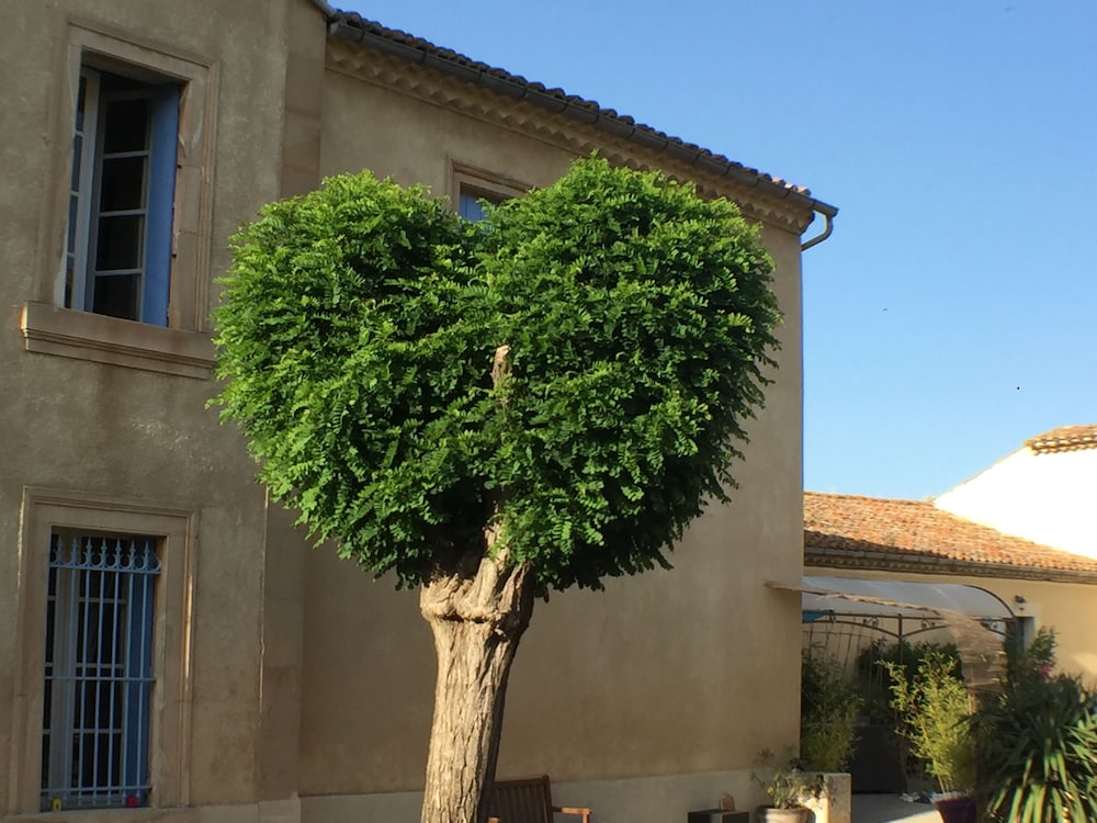 Domaine du Griffon